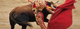 spanish-culture-bull-fight